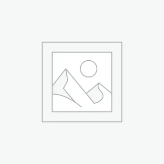 AutoCAD 2024